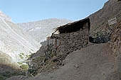 Colca Canyon 